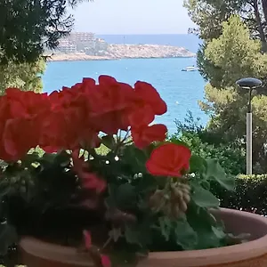 beach-flowers.top-hotels-tarragona.com/